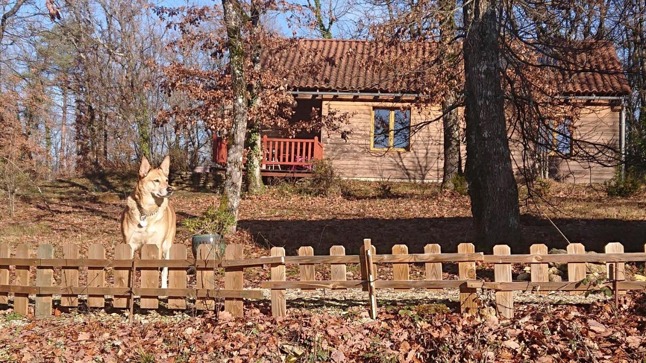 Le Village Enchanteur La Chapelle-Aubareil Экстерьер фото