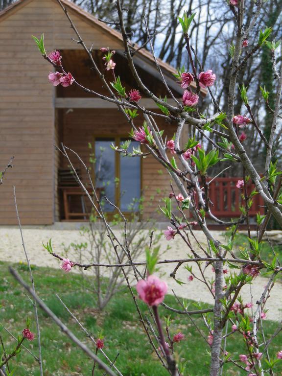 Le Village Enchanteur La Chapelle-Aubareil Экстерьер фото