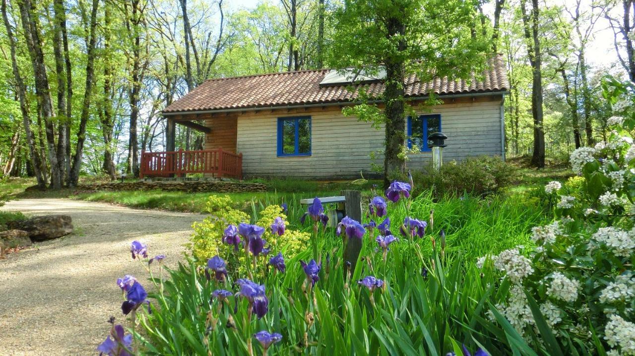 Le Village Enchanteur La Chapelle-Aubareil Экстерьер фото